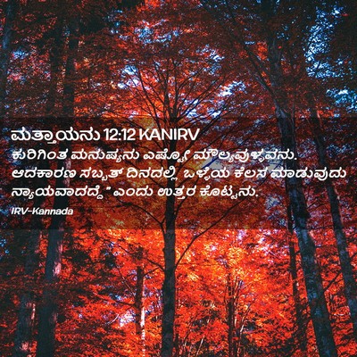 Picture 02 - ಮತ್ತಾಯನು 12:12 KANIRV - ಕುರಿಗಿಂತ ಮನುಷ್ಯನು - Bible Verse Picture