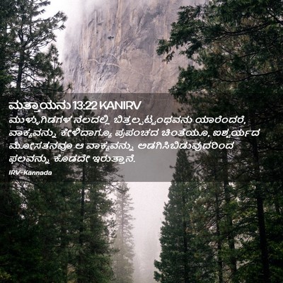 Picture 02 - ಮತ್ತಾಯನು 13:22 KANIRV - ಮುಳ್ಳುಗಿಡಗಳ - Bible Verse Picture