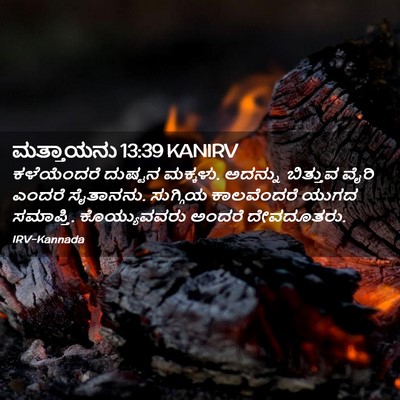 Picture 02 - ಮತ್ತಾಯನು 13:39 KANIRV - ಕಳೆಯೆಂದರೆ ದುಷ್ಟನ - Bible Verse Picture