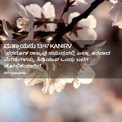 Picture 02 - ಮತ್ತಾಯನು 13:47 KANIRV - “ಪರಲೋಕ ರಾಜ್ಯವು - Bible Verse Picture