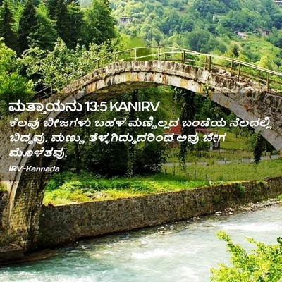 Picture 02 - ಮತ್ತಾಯನು 13:5 KANIRV - ಕೆಲವು ಬೀಜಗಳು ಬಹಳ - Bible Verse Picture