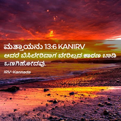 Picture 02 - ಮತ್ತಾಯನು 13:6 KANIRV - ಆದರೆ ಬಿಸಿಲೇರಿದಾಗ - Bible Verse Picture