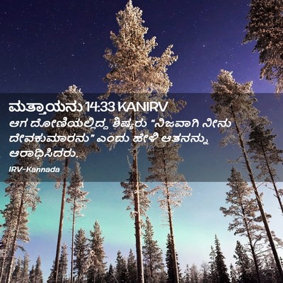 Picture 02 - ಮತ್ತಾಯನು 14:33 KANIRV - ಆಗ ದೋಣಿಯಲ್ಲಿದ್ದ - Bible Verse Picture