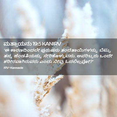 Picture 02 - ಮತ್ತಾಯನು 19:5 KANIRV - ‘ಈ ಕಾರಣದಿಂದಲೇ - Bible Verse Picture