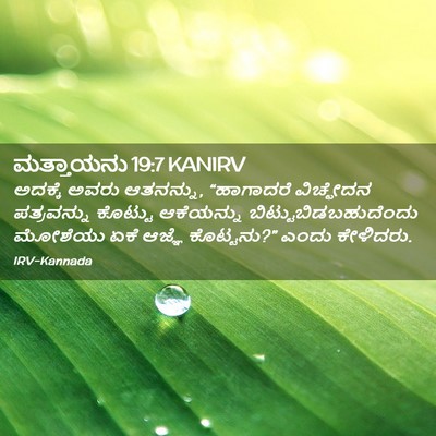 Picture 02 - ಮತ್ತಾಯನು 19:7 KANIRV - ಅದಕ್ಕೆ ಅವರು - Bible Verse Picture