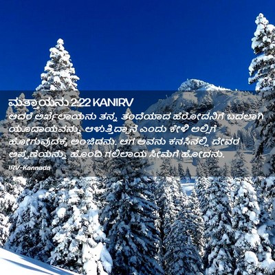 Picture 02 - ಮತ್ತಾಯನು 2:22 KANIRV - ಆದರೆ ಅರ್ಖೆಲಾಯನು - Bible Verse Picture