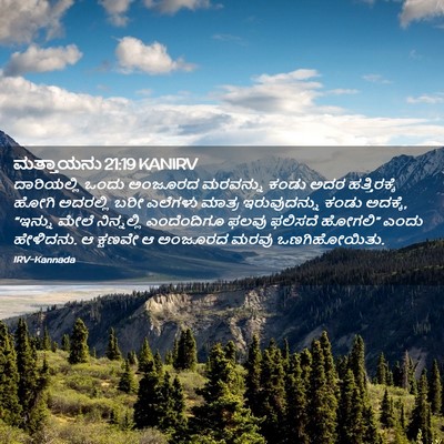 Picture 02 - ಮತ್ತಾಯನು 21:19 KANIRV - ದಾರಿಯಲ್ಲಿ ಒಂದು - Bible Verse Picture