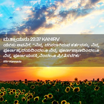 Picture 02 - ಮತ್ತಾಯನು 22:37 KANIRV - ಯೇಸು ಅವನಿಗೆ, - Bible Verse Picture