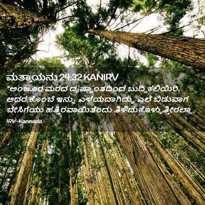 Picture 02 - ಮತ್ತಾಯನು 24:32 KANIRV - “ಅಂಜೂರ ಮರದ - Bible Verse Picture