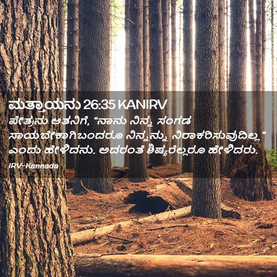 Picture 02 - ಮತ್ತಾಯನು 26:35 KANIRV - ಪೇತ್ರನು ಆತನಿಗೆ, - Bible Verse Picture