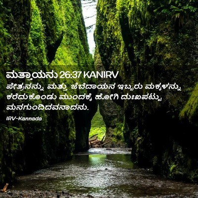 Picture 02 - ಮತ್ತಾಯನು 26:37 KANIRV - ಪೇತ್ರನನ್ನು ಮತ್ತು - Bible Verse Picture