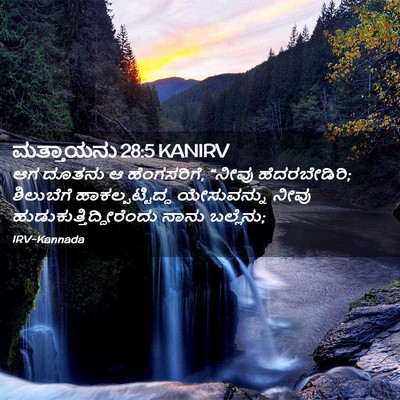 Picture 02 - ಮತ್ತಾಯನು 28:5 KANIRV - ಆಗ ದೂತನು ಆ - Bible Verse Picture