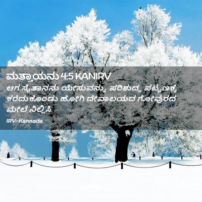 Picture 02 - ಮತ್ತಾಯನು 4:5 KANIRV - ಆಗ ಸೈತಾನನು - Bible Verse Picture