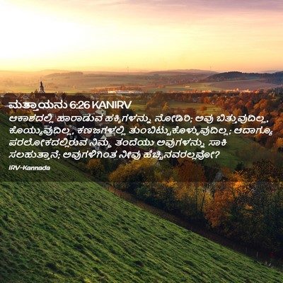 Picture 02 - ಮತ್ತಾಯನು 6:26 KANIRV - ಆಕಾಶದಲ್ಲಿ ಹಾರಾಡುವ - Bible Verse Picture