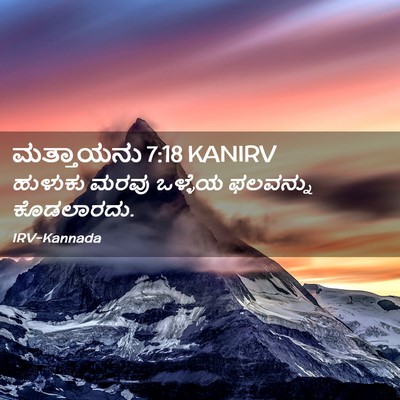 Picture 02 - ಮತ್ತಾಯನು 7:18 KANIRV - ಹುಳುಕು ಮರವು - Bible Verse Picture