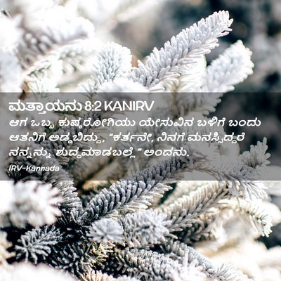 Picture 02 - ಮತ್ತಾಯನು 8:2 KANIRV - ಆಗ ಒಬ್ಬ - Bible Verse Picture