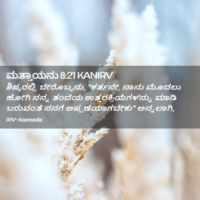 Picture 02 - ಮತ್ತಾಯನು 8:21 KANIRV - ಶಿಷ್ಯರಲ್ಲಿ - Bible Verse Picture