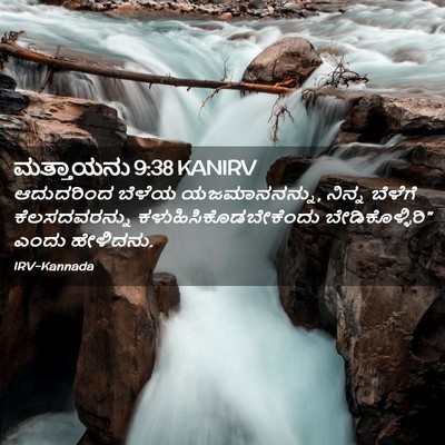 Picture 02 - ಮತ್ತಾಯನು 9:38 KANIRV - ಆದುದರಿಂದ ಬೆಳೆಯ - Bible Verse Picture