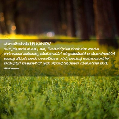 Picture 02 - ಮಲಾಕಿಯನು 1:14 KANIRV - “ಒಬ್ಬನು ಹರಕೆ - Bible Verse Picture