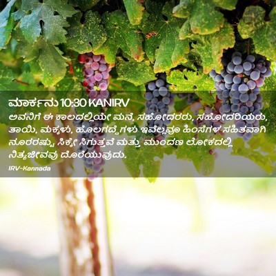 Picture 02 - ಮಾರ್ಕನು 10:30 KANIRV - ಅವನಿಗೆ ಈ - Bible Verse Picture