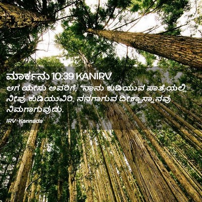 Picture 02 - ಮಾರ್ಕನು 10:39 KANIRV - ಆಗ ಯೇಸು ಅವರಿಗೆ, - Bible Verse Picture