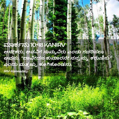 Picture 02 - ಮಾರ್ಕನು 10:48 KANIRV - ಅನೇಕರು, ಅವನಿಗೆ - Bible Verse Picture