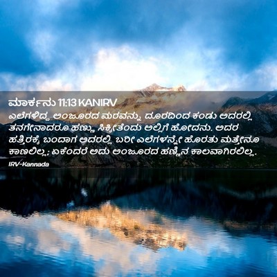 Picture 02 - ಮಾರ್ಕನು 11:13 KANIRV - ಎಲೆಗಳಿದ್ದ ಅಂಜೂರದ - Bible Verse Picture