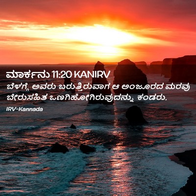 Picture 02 - ಮಾರ್ಕನು 11:20 KANIRV - ಬೆಳಗ್ಗೆ ಅವರು - Bible Verse Picture