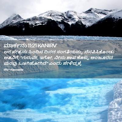 Picture 02 - ಮಾರ್ಕನು 11:21 KANIRV - ಆಗ ಪೇತ್ರನು ಹಿಂದಿನ - Bible Verse Picture