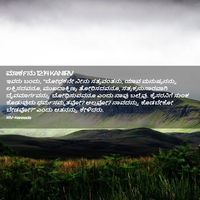 Picture 02 - ಮಾರ್ಕನು 12:14 KANIRV - ಇವರು ಬಂದು, “ಬೋಧಕನೇ - Bible Verse Picture