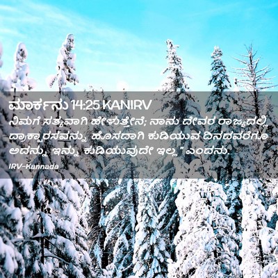 Picture 02 - ಮಾರ್ಕನು 14:25 KANIRV - ನಿಮಗೆ ಸತ್ಯವಾಗಿ - Bible Verse Picture