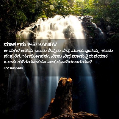 Picture 02 - ಮಾರ್ಕನು 14:37 KANIRV - ಆ ಮೇಲೆ ಆತನು ಬಂದು - Bible Verse Picture