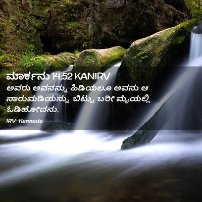 Picture 02 - ಮಾರ್ಕನು 14:52 KANIRV - ಅವರು ಅವನನ್ನು - Bible Verse Picture