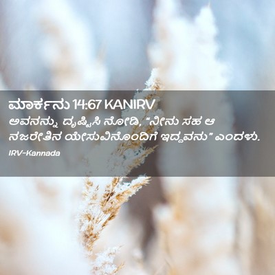 Picture 02 - ಮಾರ್ಕನು 14:67 KANIRV - ಅವನನ್ನು ದೃಷ್ಟಿಸಿ - Bible Verse Picture