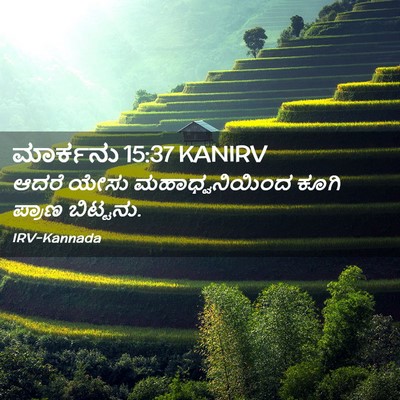 Picture 02 - ಮಾರ್ಕನು 15:37 KANIRV - ಆದರೆ ಯೇಸು - Bible Verse Picture