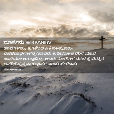 Picture 02 - ಮಾರ್ಕನು 16:18 KANIRV - ಹಾವುಗಳನ್ನು - Bible Verse Picture