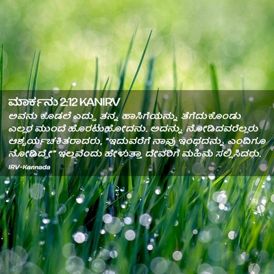 Picture 02 - ಮಾರ್ಕನು 2:12 KANIRV - ಅವನು ಕೂಡಲೆ ಎದ್ದು - Bible Verse Picture