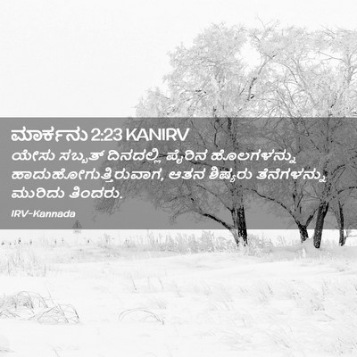 Picture 02 - ಮಾರ್ಕನು 2:23 KANIRV - ಯೇಸು ಸಬ್ಬತ್ - Bible Verse Picture