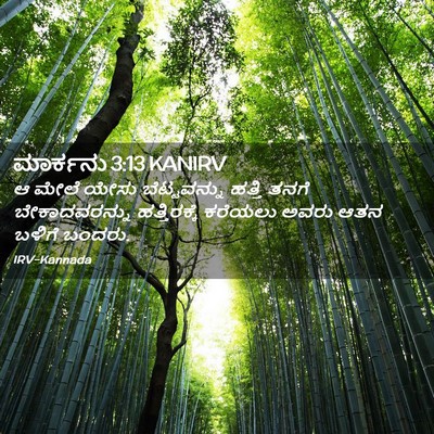 Picture 02 - ಮಾರ್ಕನು 3:13 KANIRV - ಆ ಮೇಲೆ ಯೇಸು - Bible Verse Picture