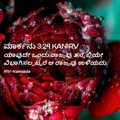 Picture 02 - ಮಾರ್ಕನು 3:24 KANIRV - ಯಾವುದೇ ಒಂದು - Bible Verse Picture