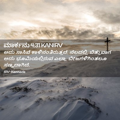 Picture 02 - ಮಾರ್ಕನು 4:31 KANIRV - ಅದು ಸಾಸಿವೆ - Bible Verse Picture