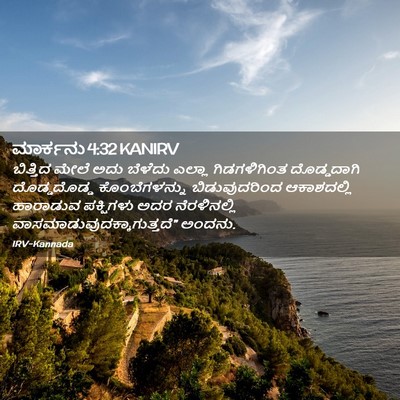 Picture 02 - ಮಾರ್ಕನು 4:32 KANIRV - ಬಿತ್ತಿದ ಮೇಲೆ ಅದು - Bible Verse Picture