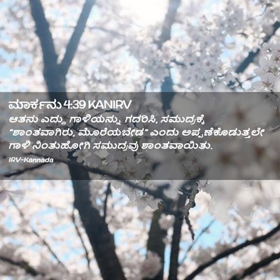 Picture 02 - ಮಾರ್ಕನು 4:39 KANIRV - ಆತನು ಎದ್ದು - Bible Verse Picture
