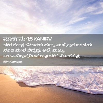 Picture 02 - ಮಾರ್ಕನು 4:5 KANIRV - ಬೇರೆ ಕೆಲವು ಬೀಜಗಳು - Bible Verse Picture