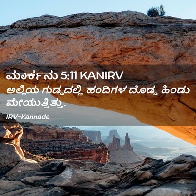 Picture 02 - ಮಾರ್ಕನು 5:11 KANIRV - ಅಲ್ಲಿಯ ಗುಡ್ಡದಲ್ಲಿ - Bible Verse Picture