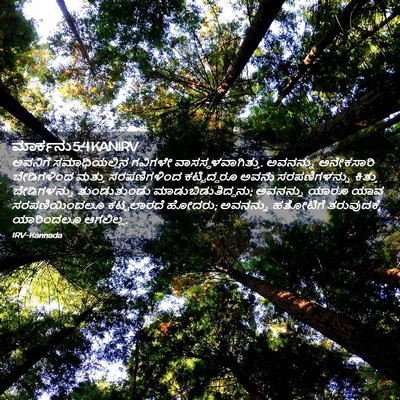 Picture 02 - ಮಾರ್ಕನು 5:4 KANIRV - ಅವನಿಗೆ - Bible Verse Picture