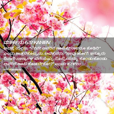 Picture 02 - ಮಾರ್ಕನು 6:37 KANIRV - ಅದಕ್ಕೆ ಯೇಸು, “ನೀವೇ - Bible Verse Picture