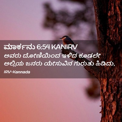 Picture 02 - ಮಾರ್ಕನು 6:54 KANIRV - ಅವರು ದೋಣಿಯಿಂದ - Bible Verse Picture