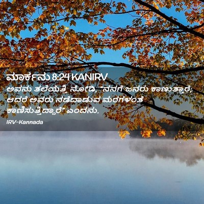 Picture 02 - ಮಾರ್ಕನು 8:24 KANIRV - ಅವನು ತಲೆಯೆತ್ತಿ - Bible Verse Picture