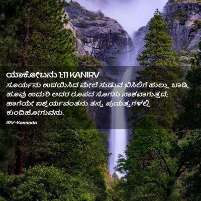 Picture 02 - ಯಾಕೋಬನು 1:11 KANIRV - ಸೂರ್ಯನು ಉದಯಿಸಿದ - Bible Verse Picture